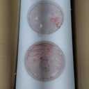 4 Pack Clear Glass Shades, Replacement Glass Globes for Ceiling Fan Light Fixtures, 2-1/8" Fitter, 4.76 inch Diameter, High Transmittance Lampshade for Chandelier, Pendant Light, Wall Sconces Series