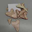 RattanView 20 Pcs Wooden Shark Teeth Nursery Wall Decor Shark Tooth Wall Art Baby Room Nursery Decor Megalodon Beach House Decoration for Boys Kids Room Bathroom Bedroom Lover Gift