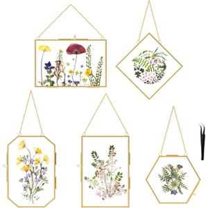 FOCHIER F 5 Pcs Pressed Flower Frames with Tweezers, Wall Hanging Tabletop Display Double Glass Frames with Metal Chain for Pressed Dried Flowers Plants, Horizontal and Vertical Picture Frame, Golden