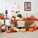 2 PCS Fall Pumpkin Pillows Brown White Simulated Pumpkin Shaped Pillow Halloween Decoration Throw Pillows Fluffy Pumpkin Pillows Cushion Decor for Fall Thanksgiving Halloween Bedroom Sofa Couch