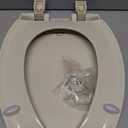 Bemis Aurora Slow Close Toilet Seat, Easy Clean Hinges and Adjustable Perfect Fit Plastic Seat, Made in USA, Elongated, Almond