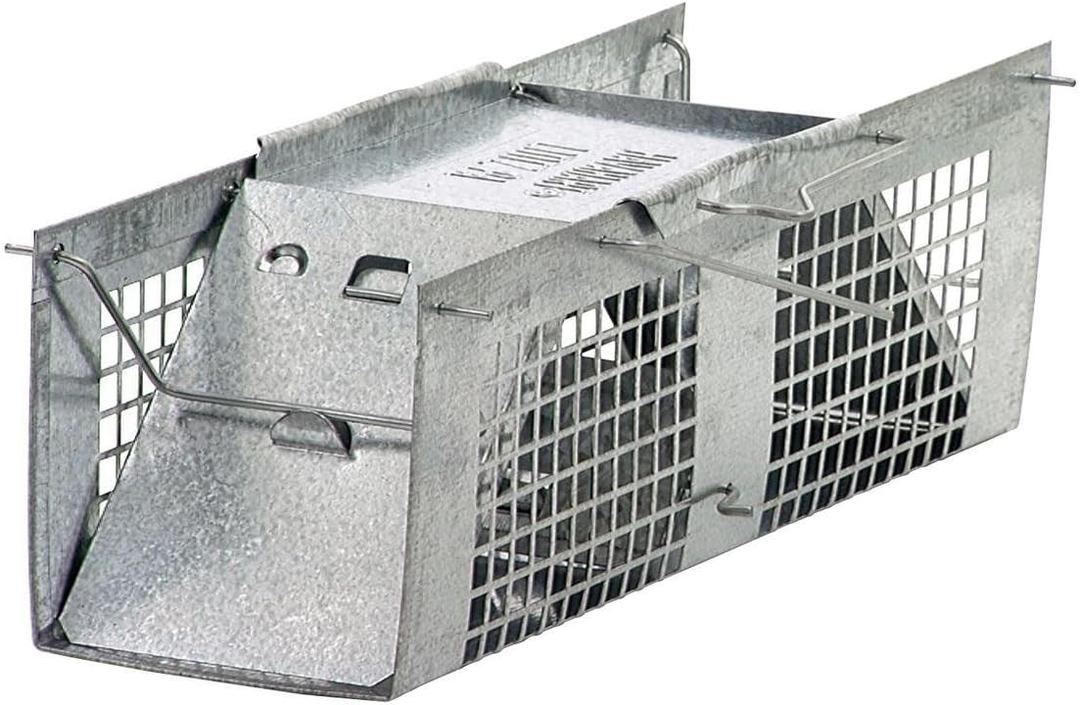 HAVAHART CAGE Trap 10"