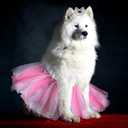 2 Pcs Dog Crown Headband Dog Tutu Dress Set Crystal Rhinestone Tiara Crown Tutu Skirt Pet Dress Costume for Puppy Birthday Party Wedding Photo Prop Costume(X-Large,Rose Red, White)