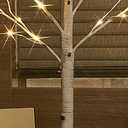 Hairui Lighted White Birch Tree 6FT, Twig Tree with Lights Plug in for Christmas Wedding Party Easter Decorations Indoor Outdoor Use