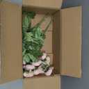 Artificial Silk Flowers Ranunculus Fake Flower,Suitable for Core Decorations,Weddings,Homes,Artistic Decorations,and Props (Pink)