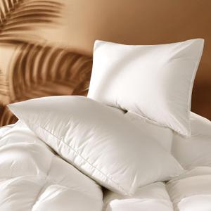 Luxury Canadian White Goose Down Pillow Queen Size Set of 2, 900+ Fill Power, 800 TC Cotton Shell, Soft Down Pillows for Sleeping, Hotel Collection Pillow for Neck Pain Relief (2 Pack, 20"x30")