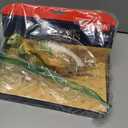 Schleich Harry Potter - Thunderbird Figurine - Fantastic Beasts Collectable Figure - Wizarding World Toy for Kids Ages 6+