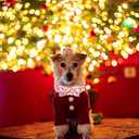 Elegant little tail Christmas Dog Collar, Christmas Deer Print Pet Collar Dogs Holiday Collars with Bow Pink Cute Winter Girl Puppy Bow Adjustable Pet Collars for Large Dogs (Large (Pack of 1))