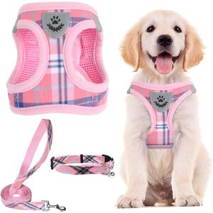 PUPTECK Adjustable Dog Harness Collar and Leash Set Step in No Pull Pet Harness for Dogs Puppy and Cats Outdoor Walking Running, Soft Mesh Padded Reflective Vest Harnesses, Pink (XS (CHEST 13"-14.5"))