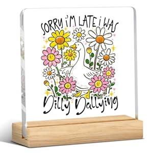 Funny Silly Goose Gifts Humor Gag Gift Sarcastic Boho Goose Acrylic Sign Plaque Art Decor for Office Home Bedroom Dining Room