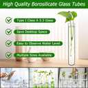 6pcs 100ml Large Glass Test Tube, 30x200mm Propagation Tube for Plant, 3.3 Borosilicate Clear Big Glass Test Tube Vase for Scientific Experiments Party Office Desktop Flower Decoration Wedding