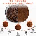 Ollygrin Conical Burr Coffee Grinder Electric, Coffee Grinder with 30 Grind Settings,Compact Burr Mill Grinder for Home Use, 2-12 Cups