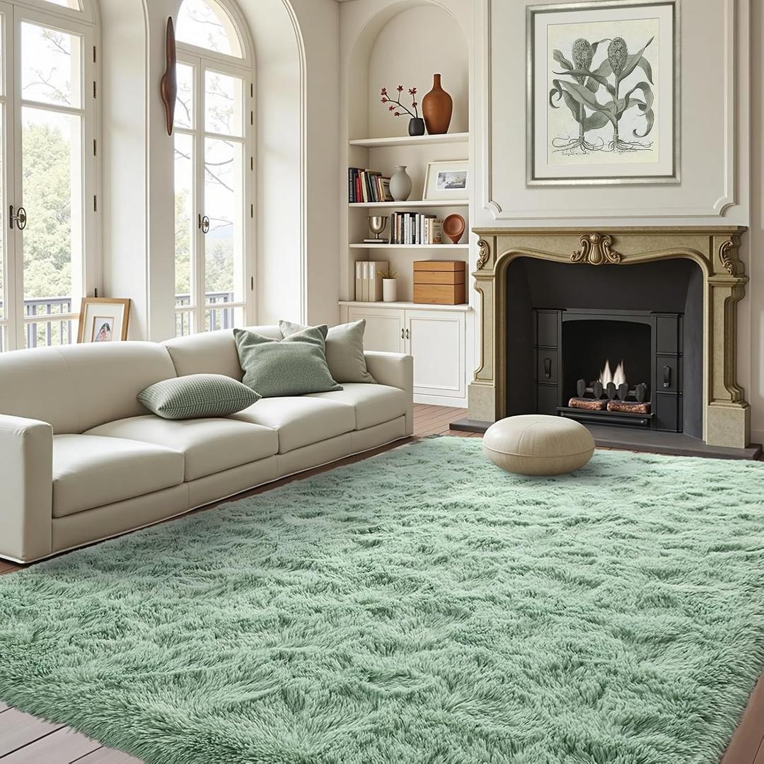 FinRec Light Green Rug for Bedroom Living Room, 4x6 Feet Fuzzy Shaggy Area Rug, Non-Slip Fluffy Furry Rugs for Kids Room Dorm Room Home Decor, Indoor Plush Floor Carpet