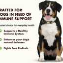 Liquid-Vet Immune Support for Dogs Antioxidant Protection & Gut Health Inulin, Beta-Glucan & Omega-3s / Fish Oil & More! - Made for Picky Eaters