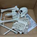 JOYIN 5 FT Halloween Skeleton Decor with Stand, Posable Life Size Skeleton, Full Body Realistic Bones with Movable Joints, Giant Skeletons Halloween Decorations for Indoor Outdoor Spooky Scene Decor
