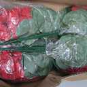 Hananona 6 Pcs Artificial Geranium Flowers for Outdoors Geranium Silk Red Flower Outdoor UV Resistant Garden Plants Faux Flowers for Christmas Home Kitchen Table Centerpieces Decor (6, Red)