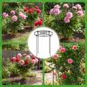 YHLYUZZ Peony Cages and Supports 4 Pack, 12x16 Inch Heavy Duty Metal Plant Cage for Outdoor Plants – Grow Through Flower Support Rings for Peonies, Roses, Tomatoes & Hydrangeas