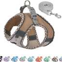 AIITLE Tiny Dog Harness - Lightweight Mesh Step-in Vest for Puppy, Reflective & Escape-Proof Design with High-Stick Magic Tape - Indoor/Outdoor Use for Chihuahua, Maltese, Shih Tzu(Brown-Beige, XXXS) (XXXS(Chest: 8.5 - 10"))