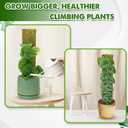 DUSPRO Flat Mesh Moss Poles for Climbing Plants Monstera Stackable Moss Pole for Plants with Real Moss Moss Plant Pole for Potted Plants Handmade Moss Stick for Indoor Plants Grow Upward 2 Pack 22
