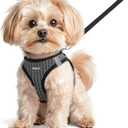 Eagloo Small Dog Harness and Leash Set, Step in Puppy Vest with Breathable Soft Mesh, Walking Reflective Pet Harness for Small Dogs, Gray, XS (XS(Chest:13.3"-15.5"))