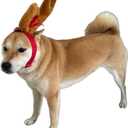 ComfyCamper Reindeer Antler Dog Halloween Costume - Headband Cosplay Christmas Small Medium Large X-Large Puppy Cat, S (Brown)
