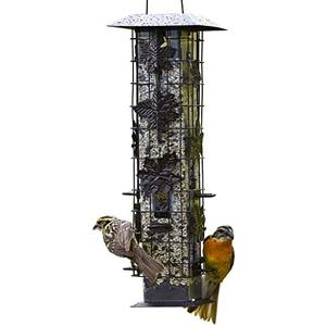 Perky-Pet 336-1SR Squirrel-Be-Gone Bird Feeder, 2LB Squirrel Proof Outdoor Wild Bird Feeder with Weight-Activated Perches