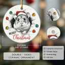 3 x Hamster Ornaments for Christmas Tree Decorations 2025, Unique Animal Lover Gifts for Women Men, Ceramic Ornaments Gift for Hamster Lovers, Xmas Gifts for Christmas Hanging Decorations