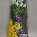 Ivydale 24 Bundles Artificial Flowers for Outdoors Faux Plants Summer Outdoor Decoration Silk Morning Glory Realistic UV Resistant Fake Bulk Petunias for Outside Porch Patio Window Garden Yard Home