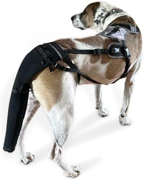 Tail Guard & Harness Set - Veterinary Dog Tail Protector & Injury Wrap, Size Bully-XL