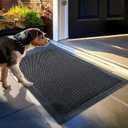 Muddy Mat Mesh Door Mat Heavy-Duty Quick-Dry Floor Mat, Sand & Dirt Trapper for Indoor & Outdoor, Ideal for Entrance, Mudrooms, Patios & Garages, Low-Profile, Non-Slip, Washable Black 17"x30"x0.4"