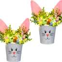 KC&KST 2 Pcs Easter Decorations Indoor Artificial Flower with Bunny Ear, Lighted Bunny Desk Decor with Color Eggs, Perfect Table Decorations for Home & Spring Party Centerpieces(Easter Bunny Flower)