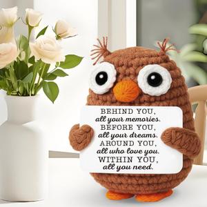 Funny 2025 Graduation Gifts for Her Him Daughter Son Granddaughter, Graduation Gifts for Masters Degree College High School PhD Grad Nurse Law School, Inspirational Emotional Positive Owl