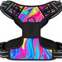 Rnivvi No Pull Dog Harness, Cute Reflective Medium Sized Puppy Kitten Harness, Adjustable Soft Padded Vest for Medium Dogs, Heavy Duty Pet Vest with Easy Control Handle for Walking, Rainbow Art, Medium
