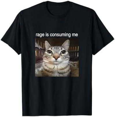Rage is Consuming Me Silly Staring Cat Meme T-Shirt, S