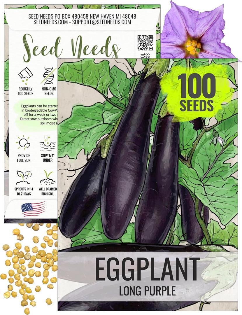 Seed Needs Eggplant Seeds for Planting Long Purple Eggplants - Non-GMO Heirloom & Untreated Annual Crops - Grow a Home Grown Vegetable Garden Outdoors (1 Pack)