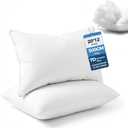 Pillow Insert Set of 2,(20*12in)Premium Soft and Fluffy Sofa Decorative Inserts Stuffing for Outdoor Porch Patio Furniture and Interior Living Room Couch and Bedroom Cushions (Rectangular)
