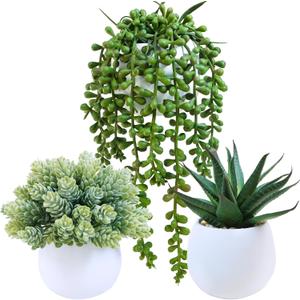 Winlyn Set of 3 Assorted Artificial Succulent Plants in White Concrete Pots Faux Aloe Hops String of Pearls Potted Plants Small Fake Plants for Home Garden Office Desk Counter Shelf Windowsill Decor