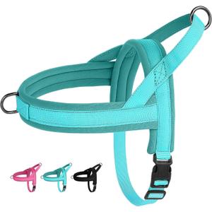 Beirui No Pull Dog Harness for Small Medium Dogs Puppies, Soft Neoprene Quick Fit Harness with Durable Front Clip & Back Clip, Lightweight Easy for Daily Walking (Blue,S)