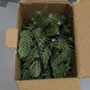 Pooqla RGB Lighted Mini Christmas Tree, Color Changing Tabletop LED Xmas Tree with Remote, 28 Colors 80 LED Pre-lit Artificial Small Tree with Hanging Ball Ornaments Home Party Christmas Decoration