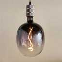 SD LUX Oversized Vintage LED Light Bulbs 5W, Medium Base E26, Giant Huge Edison Bulb,Large Amber Decorative Bulbs, Dimmable 400LM(40W Equi) Pendant Lighting Warm White 2700K,1 Pack (DG170-Black)