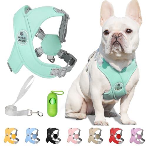 Patas Lague Dog Harness with Leash Set Adjustable Soft Padded Step-in Dog Vest No Choke No Pull Reflective for  Pets with Poop Bags and Dispenser, Solid and No-chew, Green Small