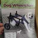 Dog Wheelchair for Back Legs, Light Weight Dog&Cat&Pets Wheelchair Cart with Disabled Hind Legs Walking, Adjustable Doggy Wheelchair Cart with Wheels for Back Legs (Grey, XX-Large)