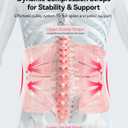 Back Brace for Lower Back Pain Women, Adjustable Lumbar Support Brace for Pain Relief - Breathable Waist Belt Lumbar Support Belt for Herniated Disc, Sciatica, Scoliosis - Pink, XL (X-Large (Waist: 33.4-37.4 inch))