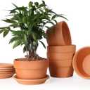 INGOFIN 5 Inch Terracotta Shallow Pots Set with Saucer - Ceramic Clay Pots with Drainage Hole, Terra Cotta for Plants for Indoor Outdoor Plants, Set of 6