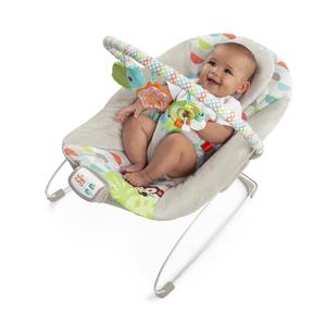 Bright Starts Baby Bouncer Soothing Vibrations Infant Seat - Removable -Toy Bar, Nonslip Feet, 0-6 Months Up to 20 lbs (Safari Fun)