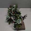 2 FT Christmas Tree with 72 LED Lights, Christmas Decorations Indoor, Fairy Light Spirit Tree for Home Decor, Lighted Birch Trees with Pine Needles, USB and 3AA Battery and Timer Warm White