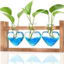 2+1 Plant Terrarium Plant Propagation Station Gifts for Father Halloween Skull Home Office Decor with Wooden Stand