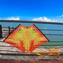 HONBO Ray Kite for Kids&Adults，Large Kite for Beach,Easy to Fly Delta Kite Single Line, Kite Handle Include