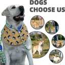 Durable Slip Leads for Dogs, Heavy Duty Strong Rope Slip Leash for Large, Medium Dogs No Pull Training Leashes (Khaki, 1/2" x 6 FT (30~120 lbs.))