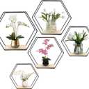 Wall Mounted Hexagonal Floating Shelves Black Set of 5 in Different Sizes, Modern Metal Shelf, Simple Wood Partition Storage Shelves, Decor Rack for Bedroom, Living Room, Kitchen, and Office